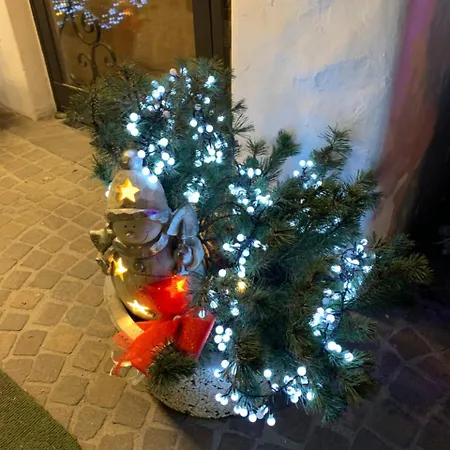 Hotel Meuble Neve 3*