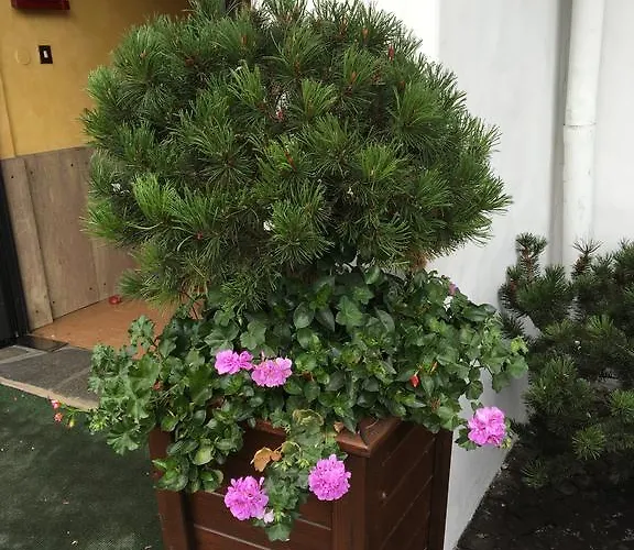 Meuble Neve מלון 3*