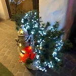 Отель Meuble Neve 3*